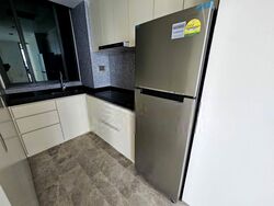 Skysuites@Anson (D2), Apartment #399838831